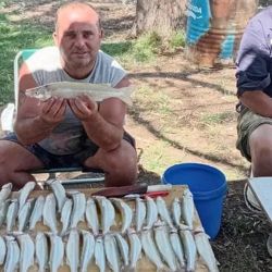 El buen presente de Caballo Loco quedó reflejado el último fin de semana durante un concurso organizado por el Club de Pesca de Coronel Suárez, donde los participantes disfrutaron de una jornada con muy buenas respuestas del pique.