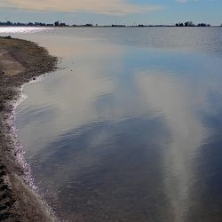 El buen presente de Caballo Loco quedó reflejado el último fin de semana durante un concurso organizado por el Club de Pesca de Coronel Suárez, donde los participantes disfrutaron de una jornada con muy buenas respuestas del pique.