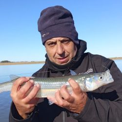 Luego de un inicio de temporada marcado por la abundancia de ejemplares chicos y un rendimiento por debajo de las expectativas, las primeras heladas trajeron la respuesta que muchos pescadores esperaban.