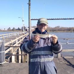 Por el Río de la Plata de costa o en los espigones, hay pesca de pejerreyes pero no se afirmó aún. 