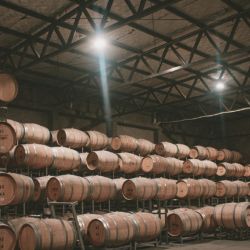 Bodega Mauricio Lorca en Delirio