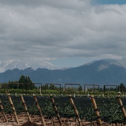 Bodega Mauricio Lorca en Delirio