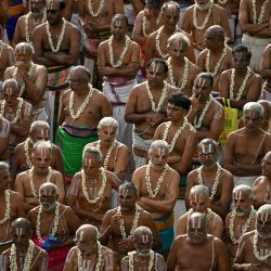 Un grupo de sacerdotes participa recitando mantras en una procesión con carrozas en el templo Sri Parthasarthy en Chennai, India. | Foto:R. Satish Babu / AFP