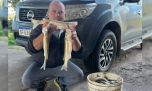 Caballo Loco resurge con grandes pejerreyes y vuelve a ser una joya de la pesca bonaerense