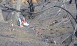 Advierten que los incendios en la Patagonia dañan seriamente el agua de sus arroyos y ríos