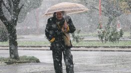 Nieve