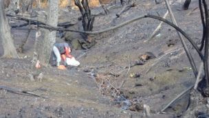 0207_incendios