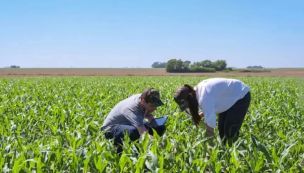 Productor agropecuario