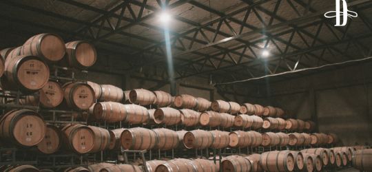 Bienvenida bodega Mauricio Lorca a Delirio!