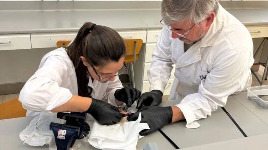 Cómo es el proyecto que une a científicos y pescadores para proteger el río Ctalamochita