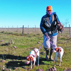 En los campos de Labardén las perdices caminaban demasiado, se desplazaban en forma constante y rara vez permitían que las perras completaran su trabajo como corresponde.