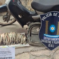 Los efectivos de la División Lacustre y Fluvial de la Policía provincial, quienes realizaban patrullajes preventivos en la zona, labraron la infracción correspondiente por la presunta violación de la normativa vigente en materia de pesca. 