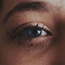 Color de ojos.