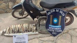 Los efectivos de la División Lacustre y Fluvial de la Policía provincial, quienes realizaban patrullajes preventivos en la zona, labraron la infracción correspondiente por la presunta violación de la normativa vigente en materia de pesca.