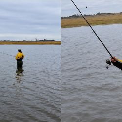La clave de la jornada estuvo en adaptar el equipo a las condiciones del momento. Los mejores resultados llegaron utilizando brazoladas muy cortas, de apenas 10 a 15 cm, armadas con anzuelos N° 2, 