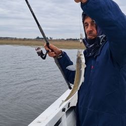 La clave de la jornada estuvo en adaptar el equipo a las condiciones del momento. Los mejores resultados llegaron utilizando brazoladas muy cortas, de apenas 10 a 15 cm, armadas con anzuelos N° 2, 