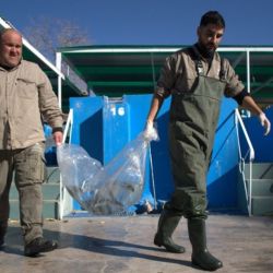 La iniciativa no solo busca conservar el equilibrio de los ecosistemas acuáticos, sino también sostener una población saludable de pejerreyes que permita mantener la actividad pesquera y el atractivo turístico del dique en los próximos años.
