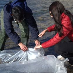 La iniciativa no solo busca conservar el equilibrio de los ecosistemas acuáticos, sino también sostener una población saludable de pejerreyes que permita mantener la actividad pesquera y el atractivo turístico del dique en los próximos años.