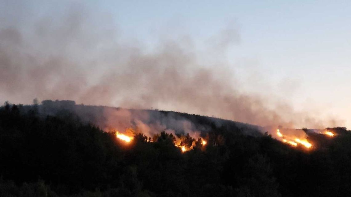 Calor extremo desata incendios que arrasan miles de hectáreas de bosques en Europa