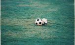 Homofobia en el fútbol: la deuda pendiente del deporte más popular del mundo