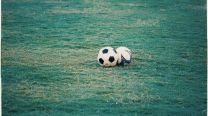 Homofobia en el fútbol: la deuda pendiente del deporte más popular del mundo