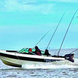 Pejerreyes grandes con encarne de una o dos mojarras por anzuelo. El Río de la Plata nunca falla.