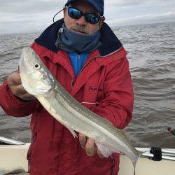 Pejerreyes grandes con encarne de una o dos mojarras por anzuelo. El Río de la Plata nunca falla.