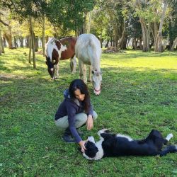 ¿Qué pueden enseñarte los caballos sobre liderazgo que nadie más te dice? | Foto:CONTENT NOTICIAS