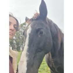 ¿Qué pueden enseñarte los caballos sobre liderazgo que nadie más te dice? | Foto:CONTENT NOTICIAS