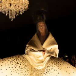 Schiaparelli.