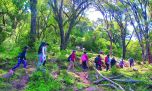 Joya jujeña: trekking en las yungas menos conocidas