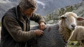 Un inventor austríaco fabricó una extraña armadura para proteger a las ovejas de los lobos