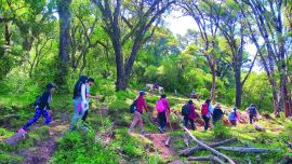 Joya jujeña: trekking en las yungas menos conocidas