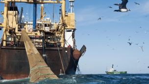 Pesca dañina en Mar Argentino