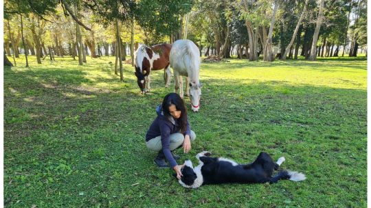 ¿Qué pueden enseñarte los caballos sobre liderazgo que nadie más te dice?
