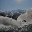 0607_glaciares suizos