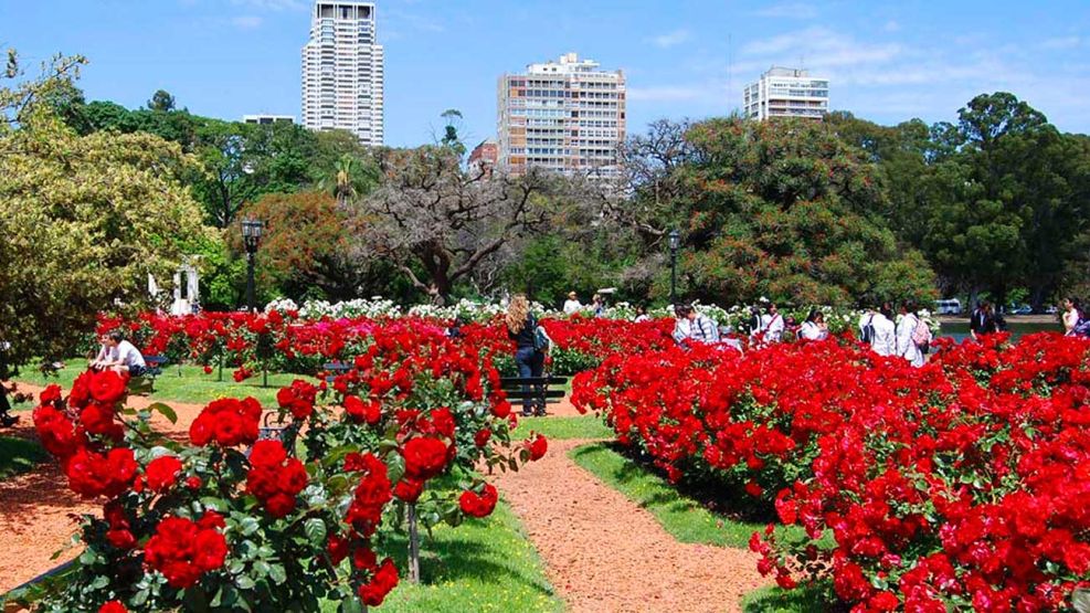 Poda en el Rosedal de Palermo 06072026
