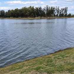 Como parte de las acciones preventivas, se instalaron nuevos carteles informativos en la costa para recordar que la pesca continúa prohibida.