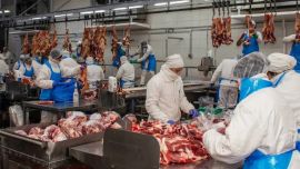 Argentina se quedó afuera del nuevo cupo de 300 mil toneladas de carne a EEUU sin aranceles: Víctor Tonelli le baja el tono al impacto