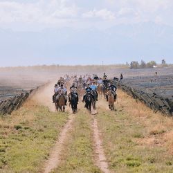 Domaine Bousquet, y Gaia Restaurante y Lodge.