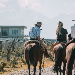 Domaine Bousquet, y Gaia Restaurante y Lodge.