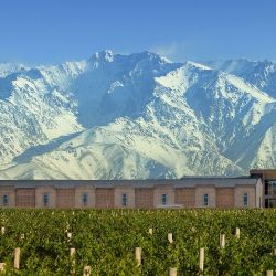 Domaine Bousquet, y Gaia Restaurante y Lodge.
