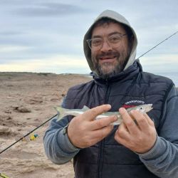 Bautista y Rolo dieron con cornos en Cueva del Tigre, en inmediaciones a Necochea, según el informe que nos brindaba Marcelo Arias de Pasión de Pesca Miramar
