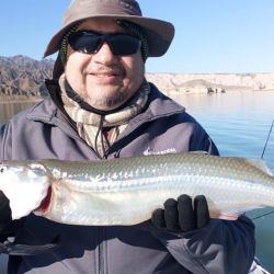 0807_mapa_pique_pesca