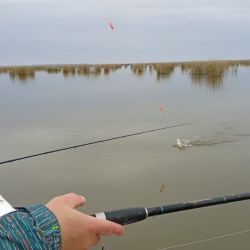 0807_mapa_pique_pesca