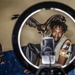 Rodgers Oloo Magutha, de 28 años, conocido popularmente como el "Hombre Pájaro de Nairobi", graba un video para sus redes sociales rodeado de algunas de las aves silvestres a su cargo mientras las alimenta en su apartamento de una habitación en Kayole, un barrio de bajos ingresos en las afueras de Nairobi. Tras haber sido un adolescente sin hogar que sobrevivía en las calles de Nairobi, Rodgers Oloo Magutha, se ha transformado en uno de los conservacionistas comunitarios más singulares de Kenia. | Foto:LUIS TATO / AFP