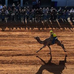 Un jinete de camellos compite durante la Copa Australasiática de Camellos de Marree, en la remota localidad de Marree, Australia Meridional. La Copa de Camellos es un evento muy apreciado en el interior de Australia que celebra las carreras de camellos, la herencia camellera afgana, la comunidad y la cultura. Los camellos fueron fundamentales para que los colonos pudieran desarrollar el interior de Australia hasta la llegada del ferrocarril. | Foto:William West / AFP