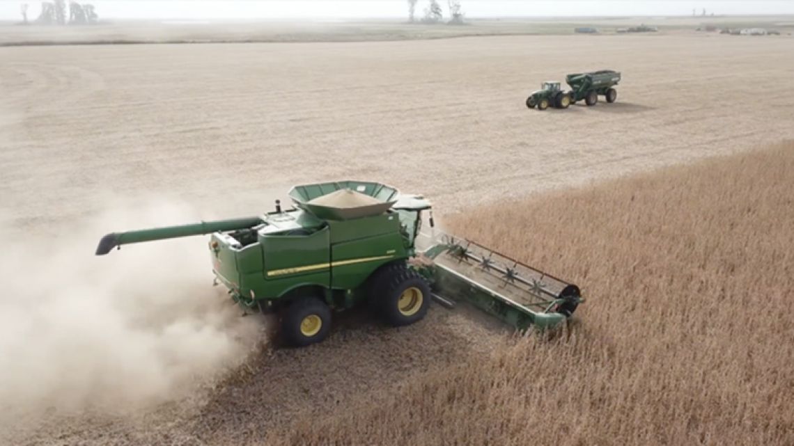 La paradoja del campo cordobés: rindes récord y una silenciosa pérdida de nutrientes