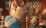 La llama que llama contra Egipto: "Te hicimos una estafa piramidal"