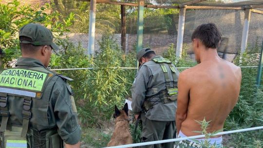 Operativo de Gendarmería